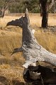 tree form 2
